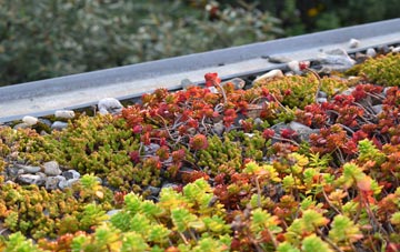 the cost of Vernham Street green roof installation