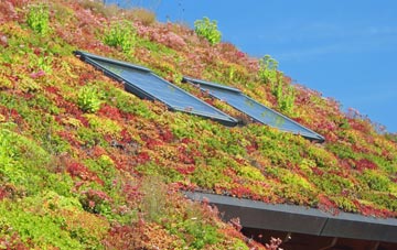 Vernham Street living roof systems